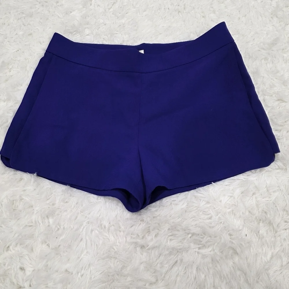 J. Crew Women's High Waist Purple Shorts. Size 10. NWT!